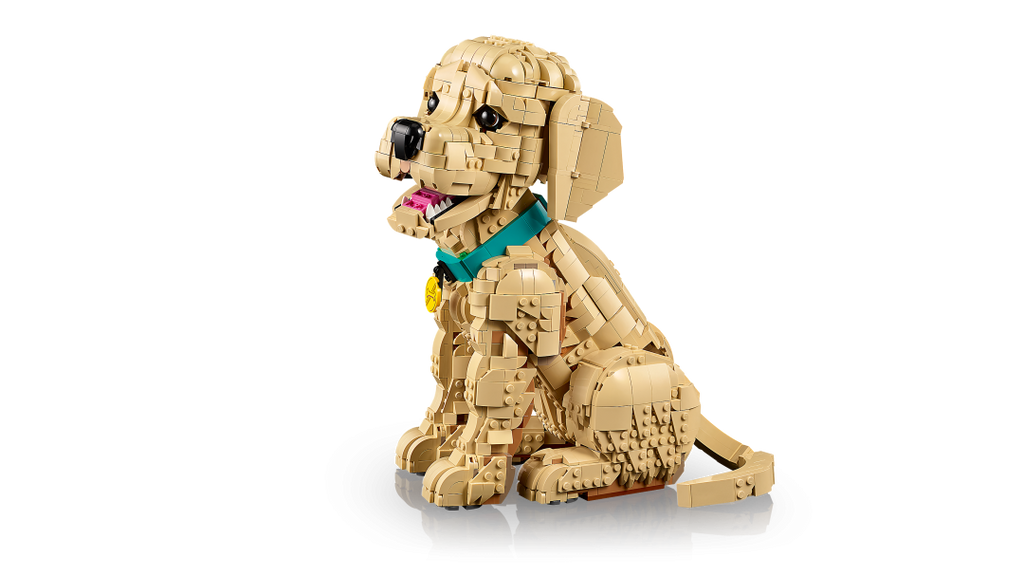 Icons Golden Retriever Puppy | 11384