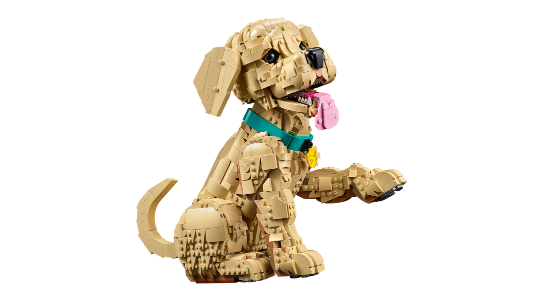 Icons Golden Retriever Puppy | 11384