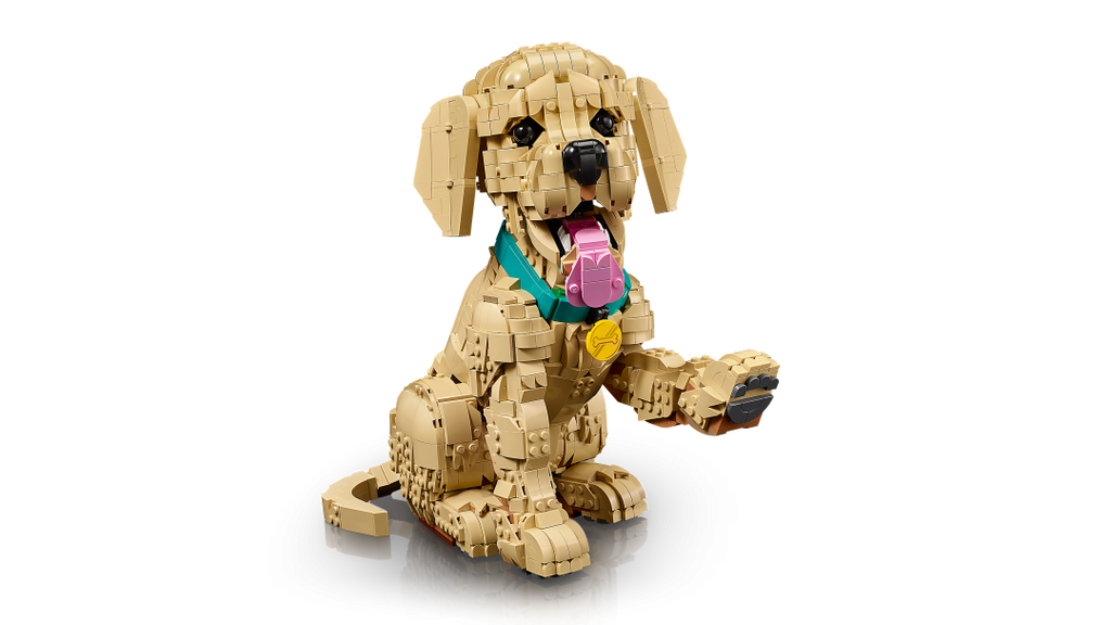 Icons Golden Retriever Puppy | 11384