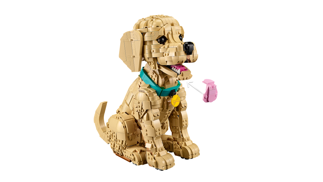 Icons Golden Retriever Puppy | 11384