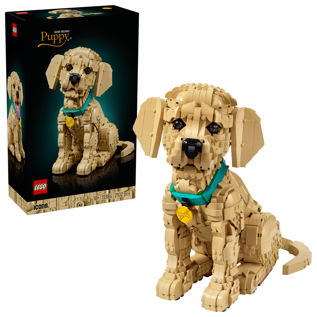 Icons Golden Retriever Puppy | 11384
