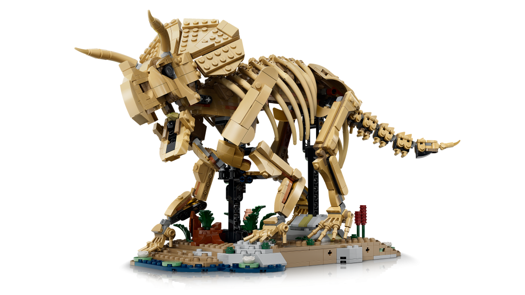 Jurassic World Dinosaur Fossils: Triceratops | 77985