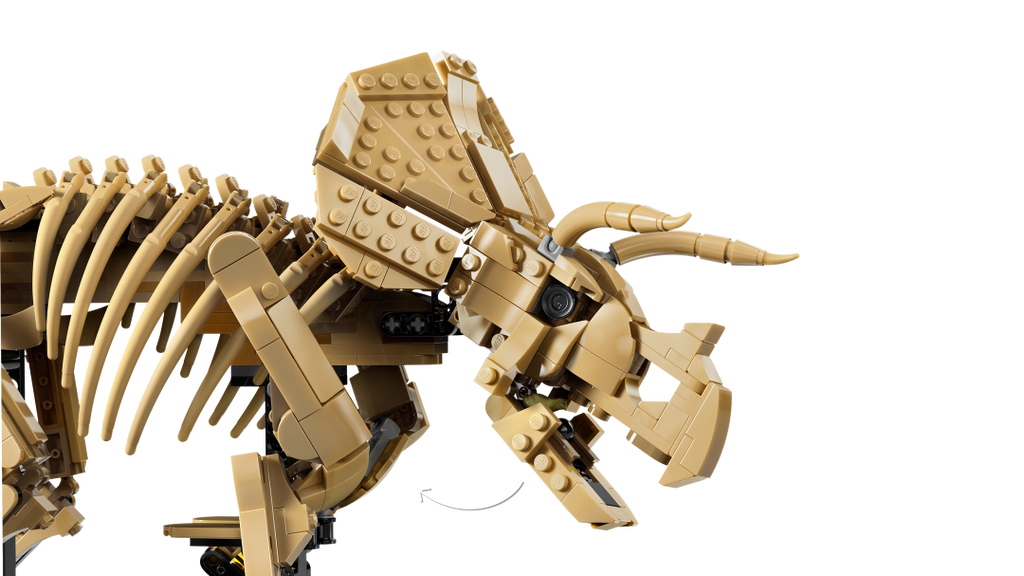 Jurassic World Dinosaur Fossils: Triceratops | 77985