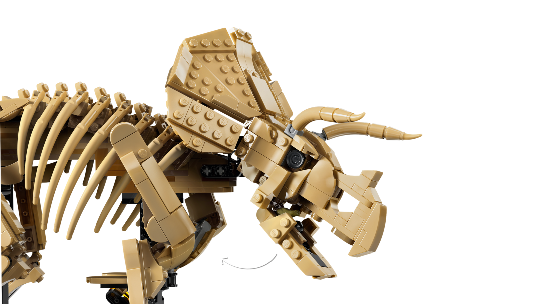 Jurassic World Dinosaur Fossils: Triceratops | 77985