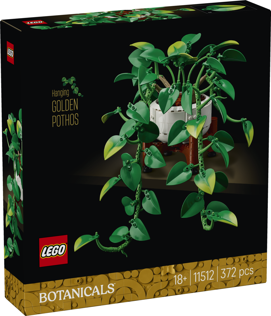 Botanicals Hanging Golden Pothos | 11512