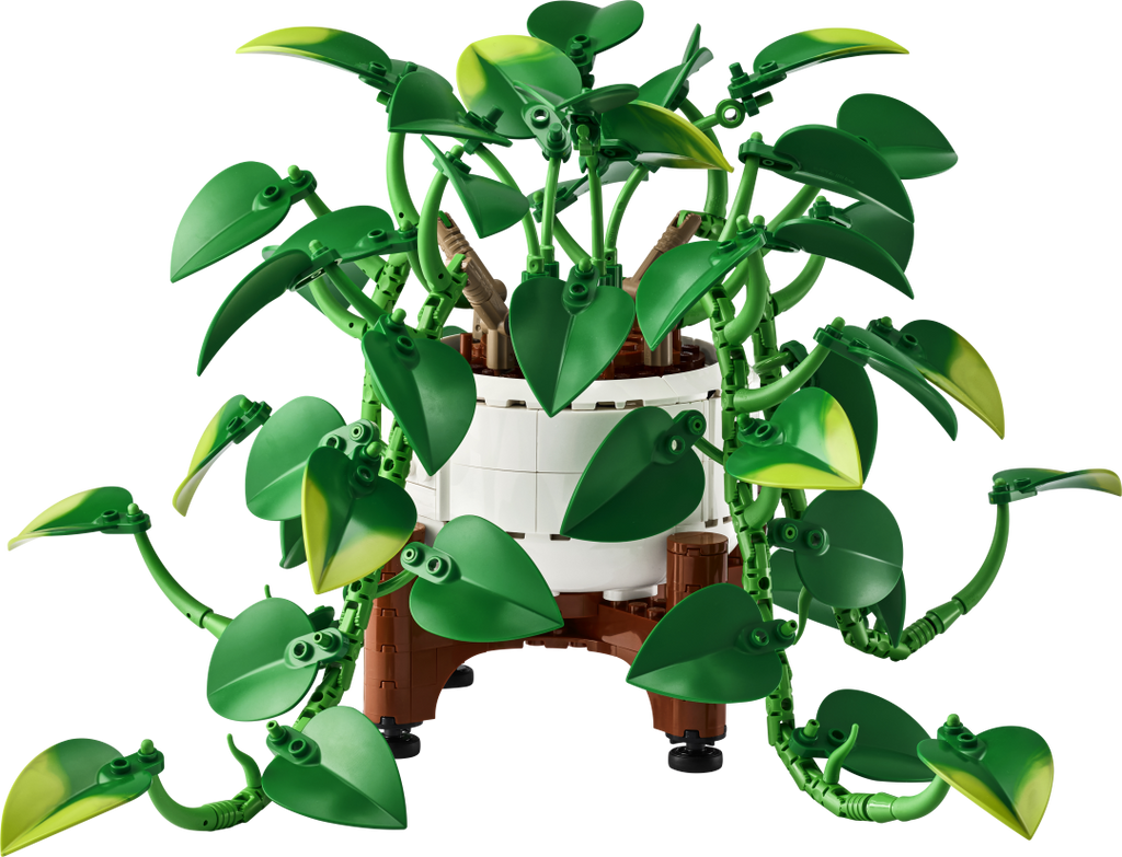 Botanicals Hanging Golden Pothos | 11512