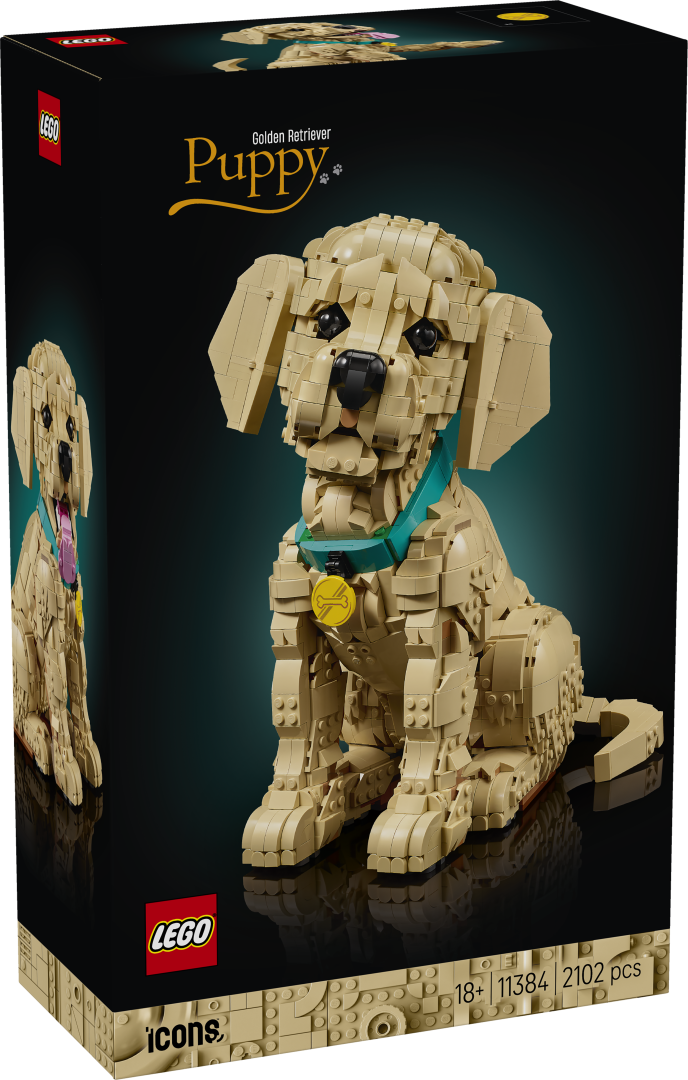 Icons Golden Retriever Puppy | 11384