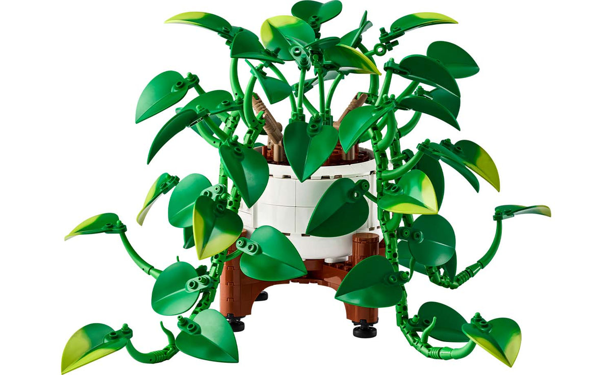 Botanicals Hanging Golden Pothos | 11512
