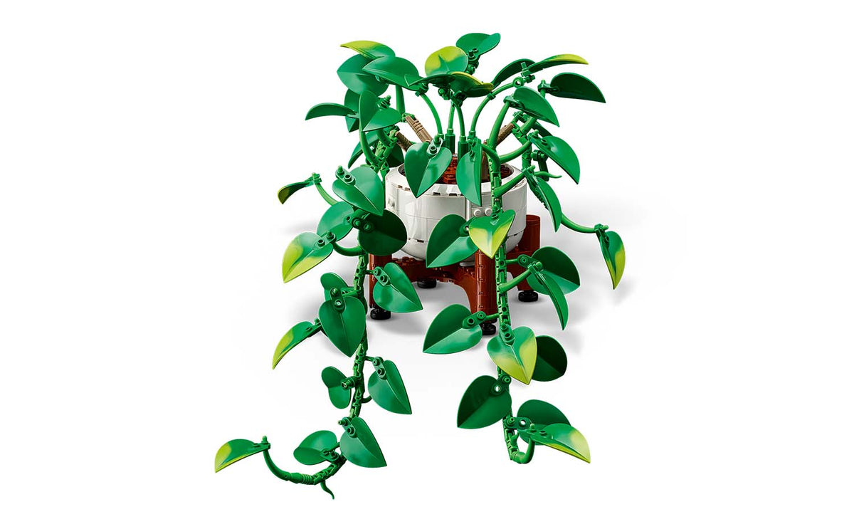 Botanicals Hanging Golden Pothos | 11512