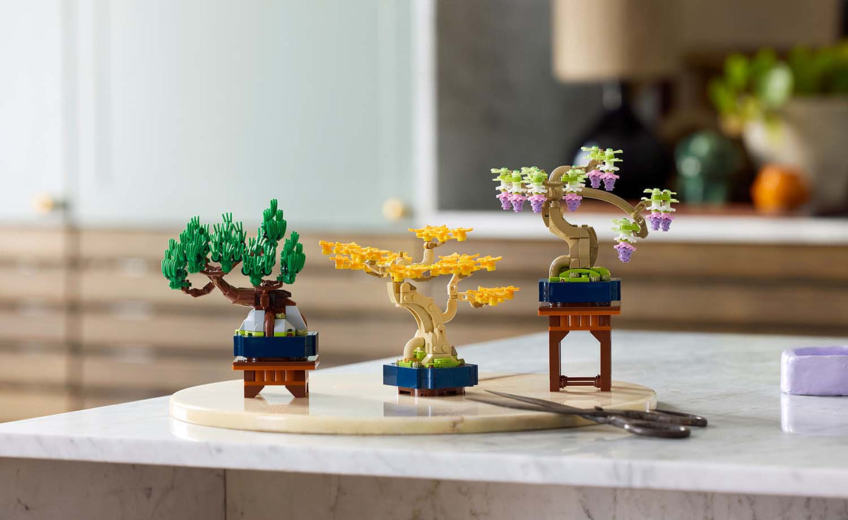 Botanicals Mini Bonsai Trees | 10373