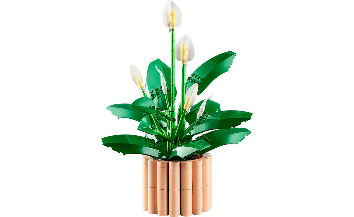 Botanicals Peace Lily | 11504