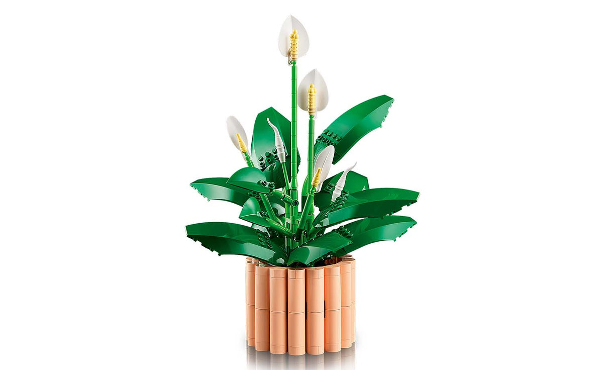 Botanicals Peace Lily | 11504