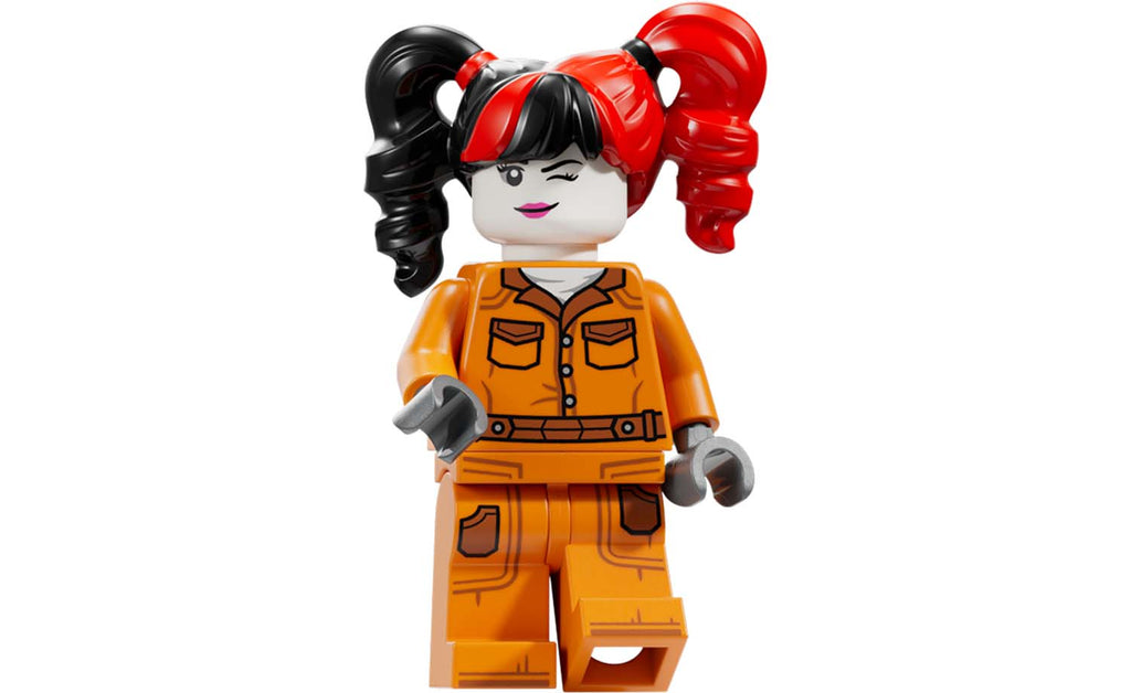 DC Arkham Asylum | 76300