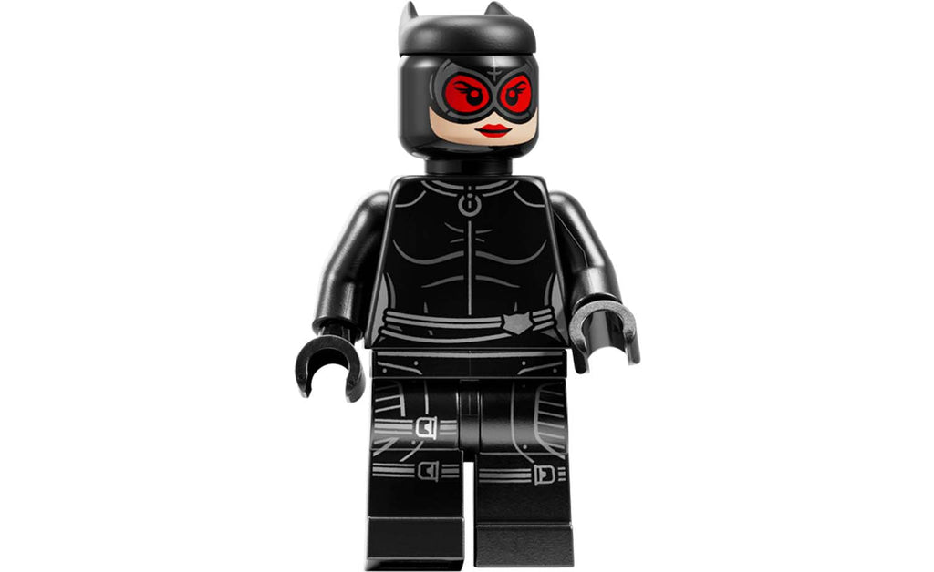 DC Arkham Asylum | 76300