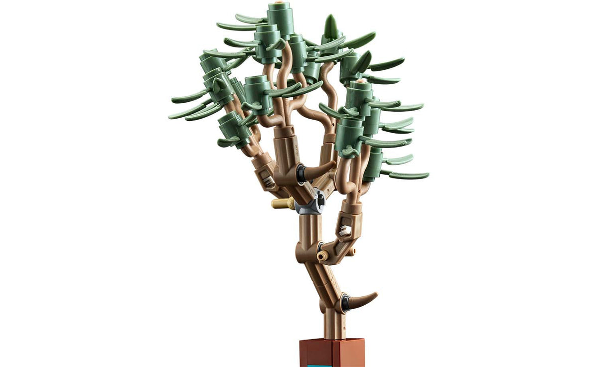 Ideas The Botanical Garden | 21353